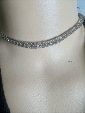Chan Luu Silver and Tan Crystal Necklace